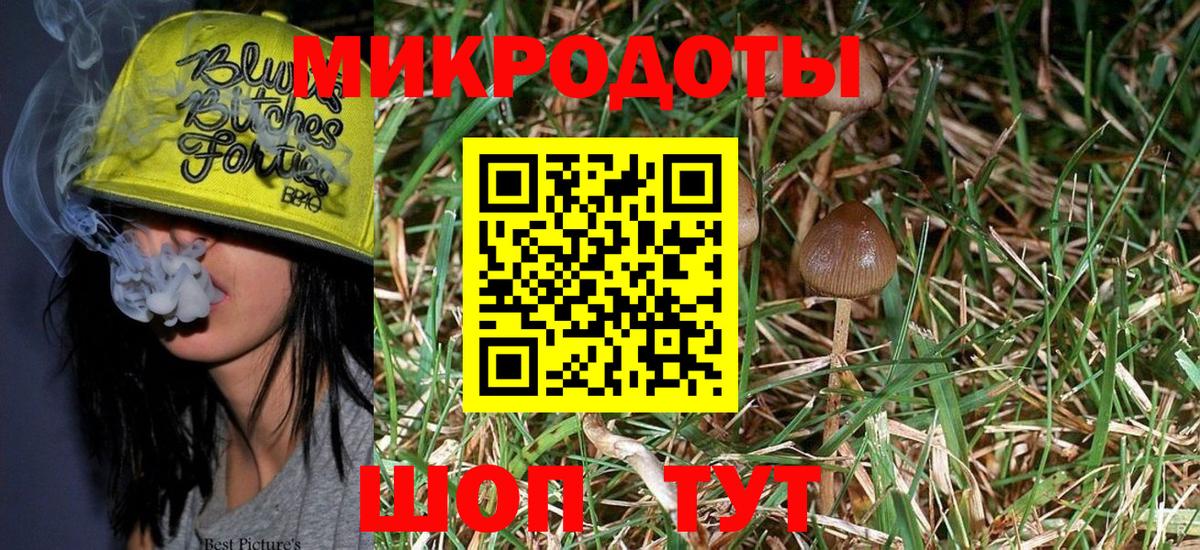 Псилоцибиновые грибы Cubensis Елец